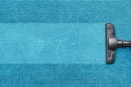  The ultimate carpet cleaning showdown – DIY vs. pro!